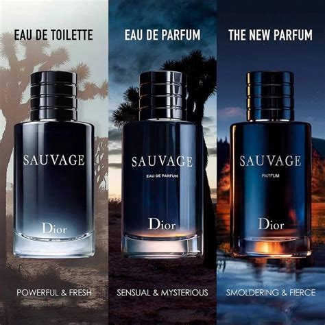 colognes like dior sauvage|fragrances like dior sauvage.